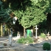 DSC03260