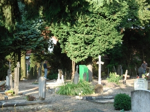 DSC03260