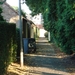DSC03303