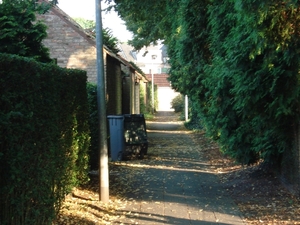 DSC03303