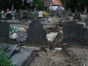 DSC03991