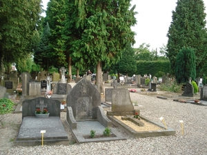 DSC04009