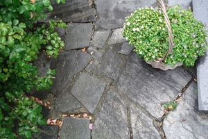 DSC04563