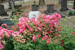 DSC04564