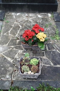 DSC04566