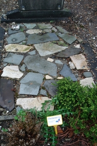 DSC04568