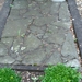 DSC04571