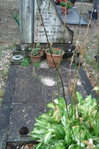 DSC04576