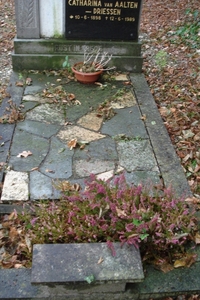 DSC04586