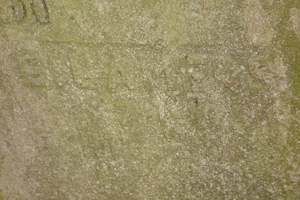 DSC04591