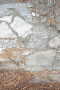 DSC04597