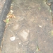 DSC04604