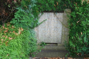 DSC04619