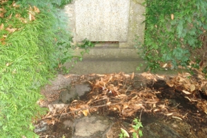 DSC04621