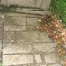 DSC04625