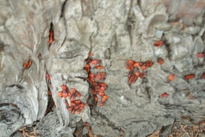 DSC05000