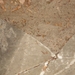 DSC05017