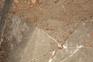 DSC05017