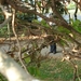 DSC05025