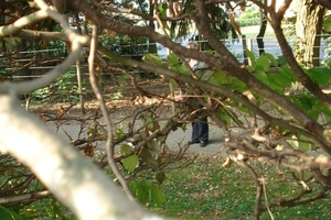DSC05025