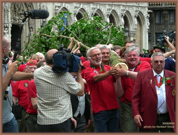 sized_P1780844a meiboom komt op grote markt