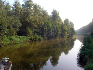 Bocht in de verte