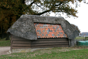 Ginkelse heide 0ktober 2009 049