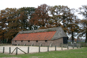 Ginkelse heide 0ktober 2009 053