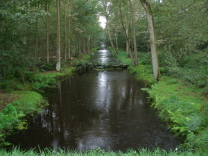 Ede en omgeving (15)