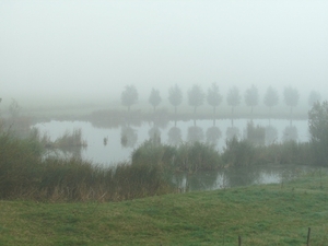 Mist 10-08-2009 004 (9)
