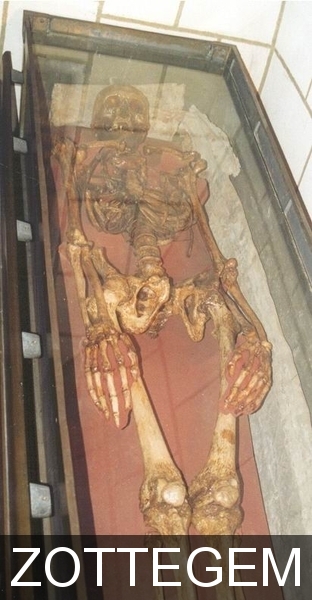 ZOTTEGEM GRAF EGMOND