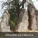 Weris (Oppagne) de 3 menhirs