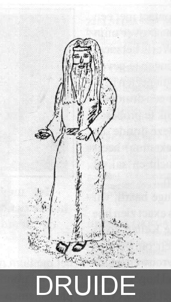 Weris druide (zie website)