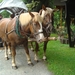 Sauerland-020