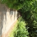 Sauerland-036
