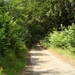 Sauerland-037