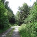 Sauerland-038