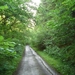 Sauerland-064