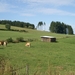 Sauerland-114