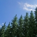 Sauerland-122