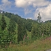 Sauerland-163