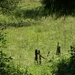Sauerland-165