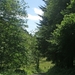 Sauerland-169