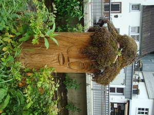 Sauerland-238