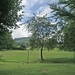 Sauerland-232