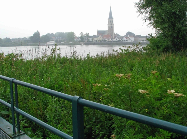 0013-IMG_7573_Scheldeveren