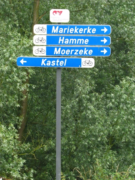 0009-IMG_7567_Scheldeveren