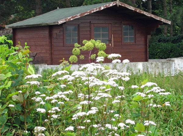 0034-IMG_7620_Scheldeveren