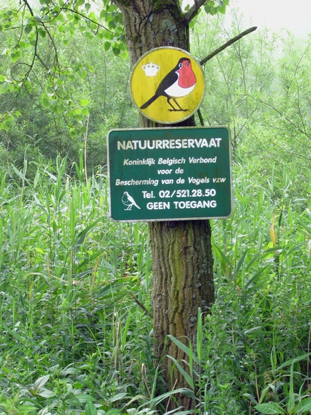 0011-IMG_7570_Scheldeveren