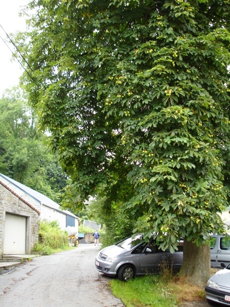 Ardennen Adeps wandeling Vierves-sur-Viroin